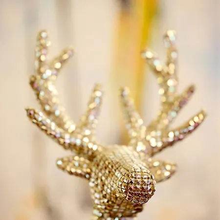 胡贝图斯酒店 酒店 布利克森塔勒